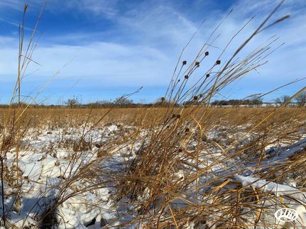 Property in Renville County, Minnesota