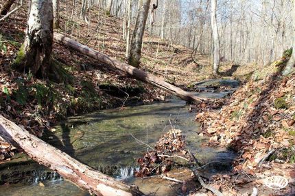 Property in Owsley County, Kentucky