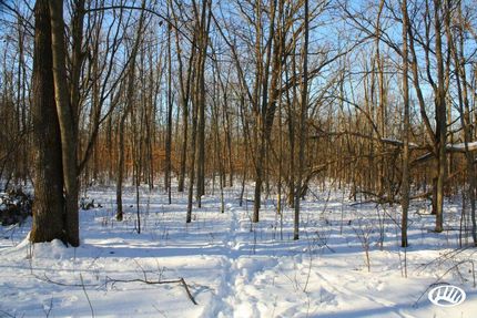 Property in Morrison County, Minnesota