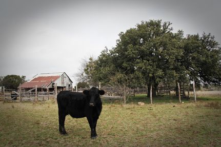 Property in Hamilton County, Texas