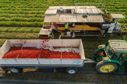 Property for sale in Yolo County, California