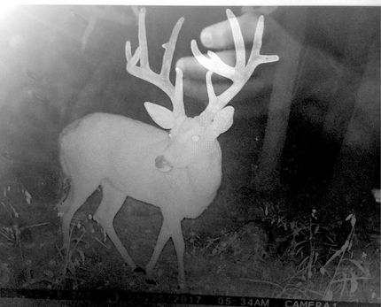 Property in Saline County, Illinois