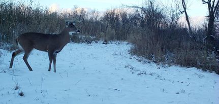Property in Williams County, Ohio