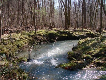 Property in Shelby County, Alabama