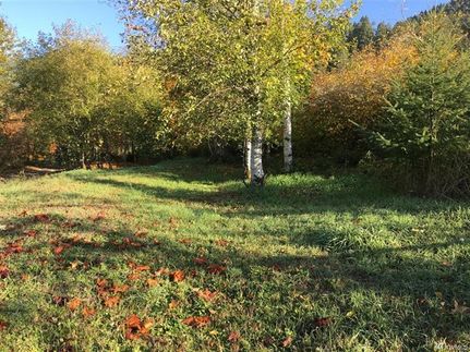 Property in Lewis County, Washington