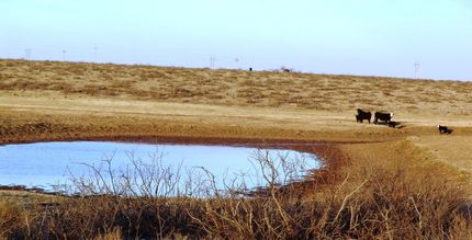 Property in Eddy County, New Mexico