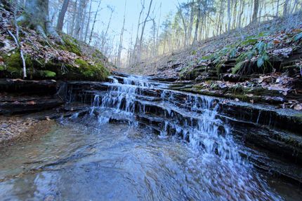 Property in Dickson County, Tennessee