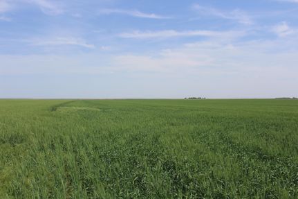 Property in Deuel County, Nebraska