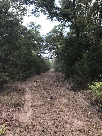 Property in Limestone County, Texas