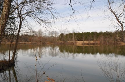 Property in Marshall County, Mississippi