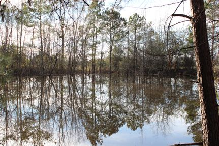 Property in Macon County, Alabama