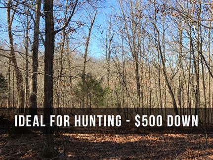 Property in Howell County, Missouri