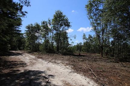 Property in Burke County, Georgia