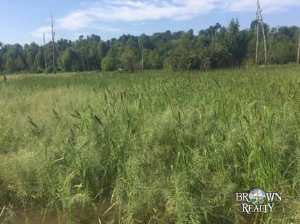 Property in Tensas Parish, Louisiana