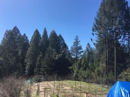 Property in Nevada County, California
