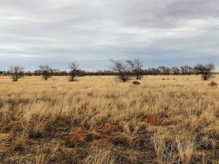 Property in Gaines County, Texas