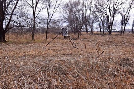 Property in Hall County, Texas