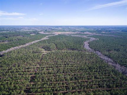 Property in Long County, Georgia