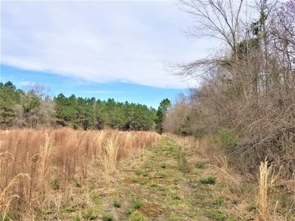 Property in Dorchester County, South Carolina