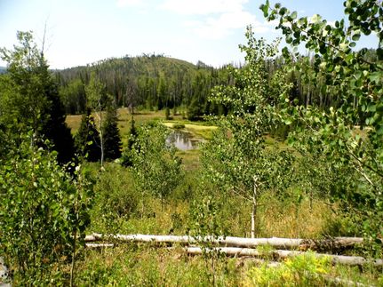 Property in Routt County, Colorado