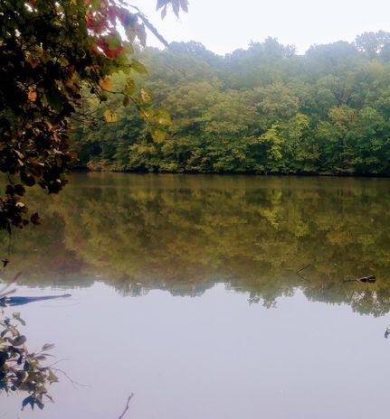 Property in Person County, North Carolina