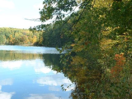 Property in Burnett County, Wisconsin