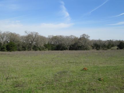 Property in Limestone County, Texas