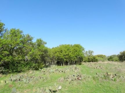 Property in McCulloch County, Texas