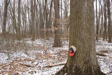 Property in Brown County, Ohio