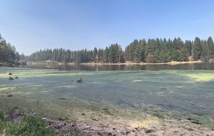 Property in Klamath County, Oregon