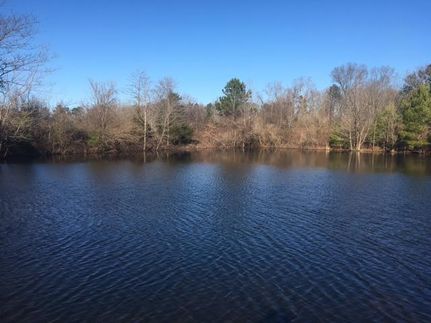 Property in Morgan County, Alabama