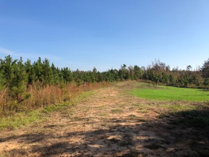 Property in Wilcox County, Alabama