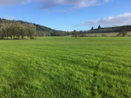 Property in Lane County, Oregon