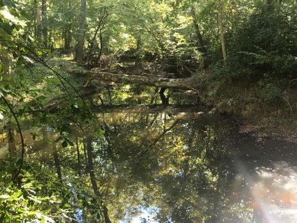 Property in Shelby County, Alabama