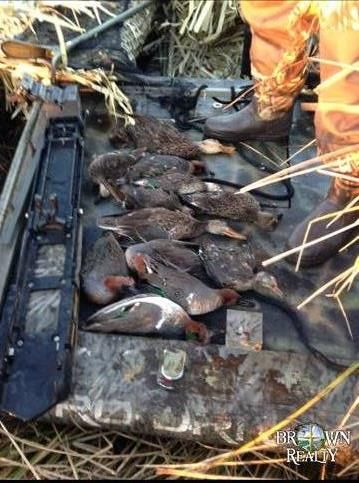 Property in Plaquemines Parish, Louisiana