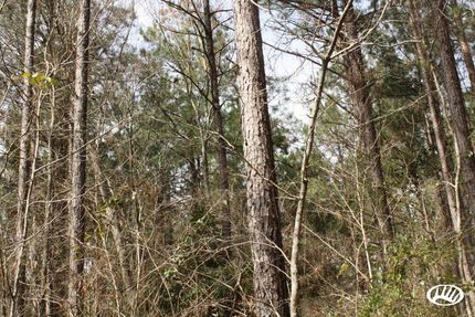 Property in Jackson Parish, Louisiana