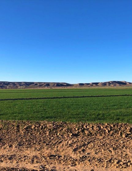 Property in Dona Ana County, New Mexico