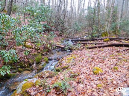 Property in Watauga County, North Carolina