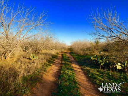 Property in Frio County, Texas
