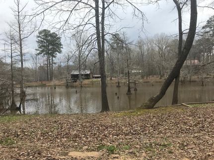 Property in Greene County, Alabama