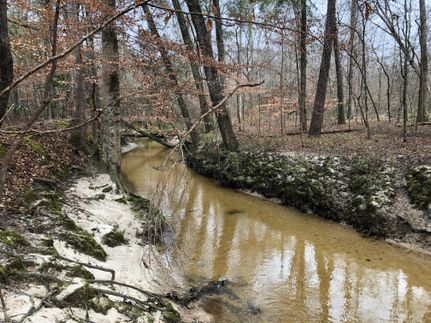 Property in Russell County, Alabama