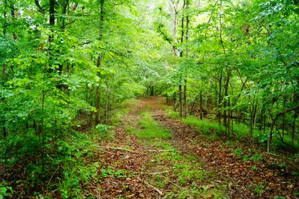 Property in Yazoo County, Mississippi