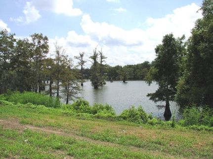 Property in Holmes County, Mississippi