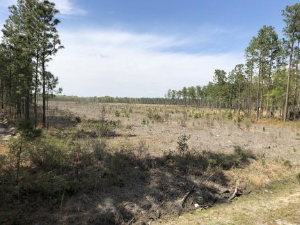 Property in Jasper County, South Carolina