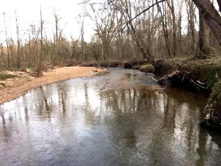 Property in Lauderdale County, Alabama