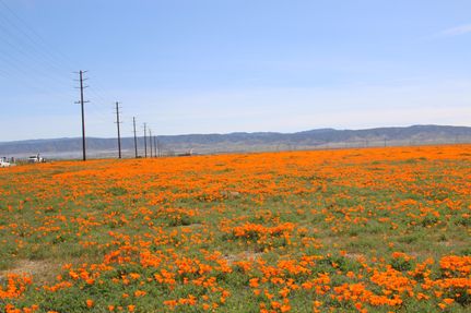 Property for sale in Los Angeles County, California