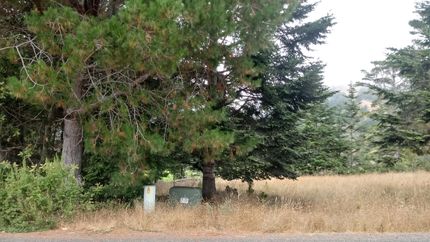 Property in Mendocino County, California