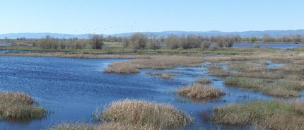 Property in Colusa County, California