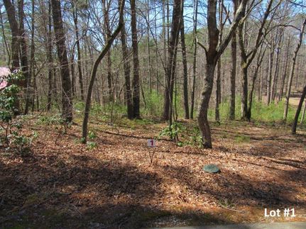 Property in Patrick County, Virginia