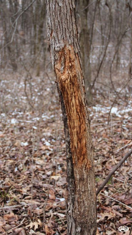 Property in Franklin County, Indiana